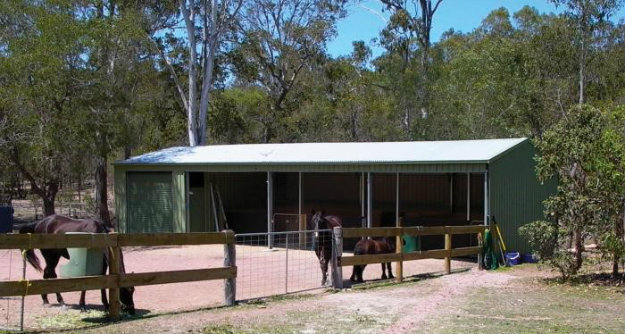Horses in a paddock outside their stable